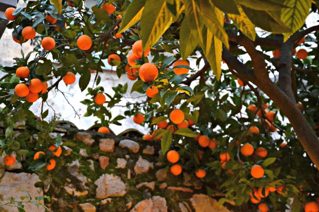 شقة Giardino Del Sole تاورمينا المظهر الخارجي الصورة